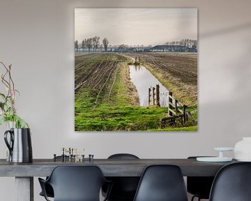 Polder landschap met boerderij