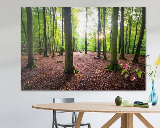 Aperçu de la chambre