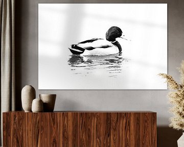 Mannetjes eend op het water (zwart-wit) van Art by Jeronimo