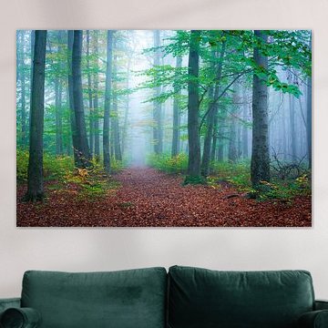 Nebel im Wald von Martin Wasilewski