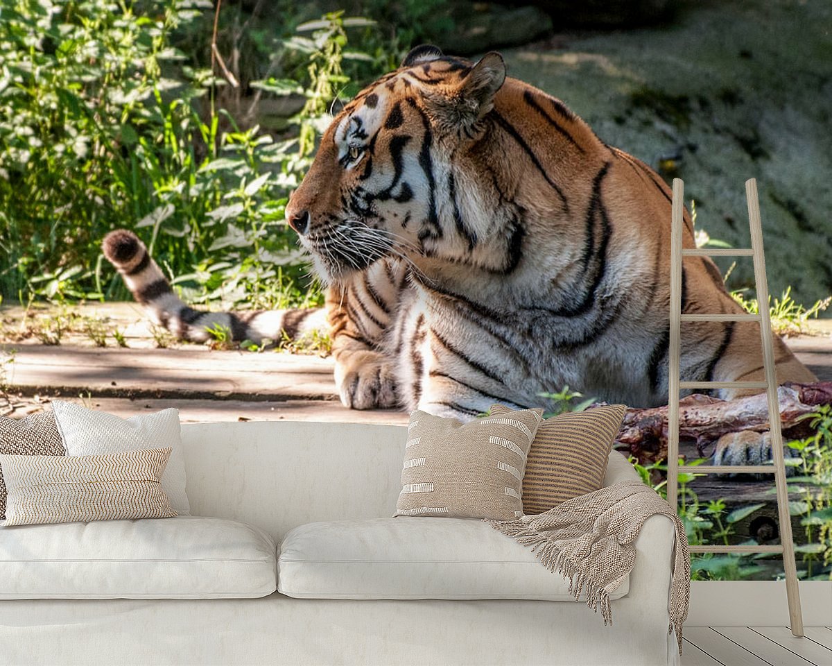 Raumvorschau