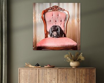 SA11978878 Rabbit on a pink velvet antique chair
