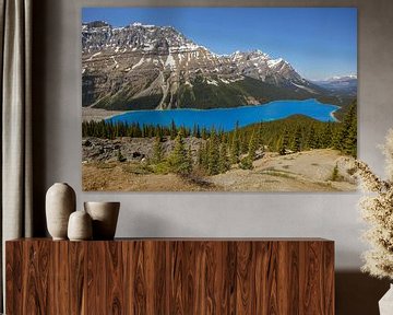 Peyto Lake in Canada van Jayzon Photo