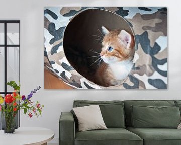 Schattige kitten portret kat van Rene du Chatenier