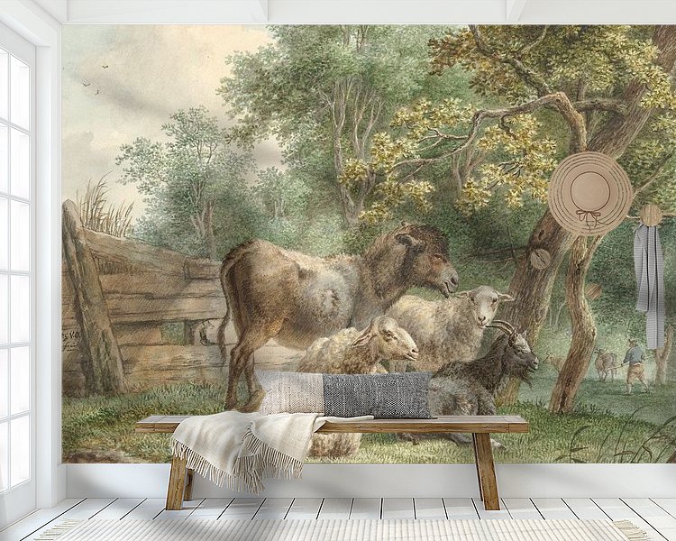 Aperçu de la chambre