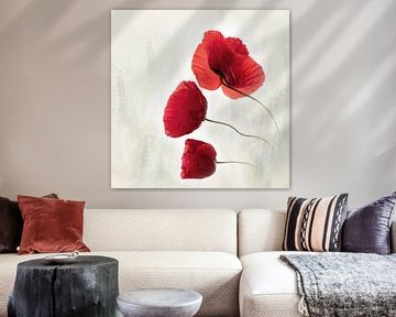 Mohn von Ingrid Van Damme fotografie