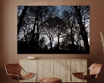 Guur en somber bos met silhouetten van donkere winterbomen van Christian Feldhaar