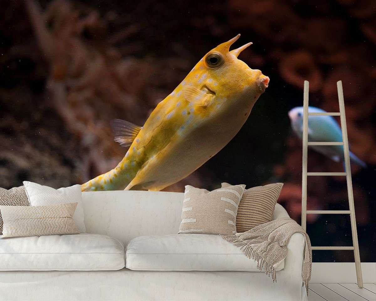 Raumvorschau