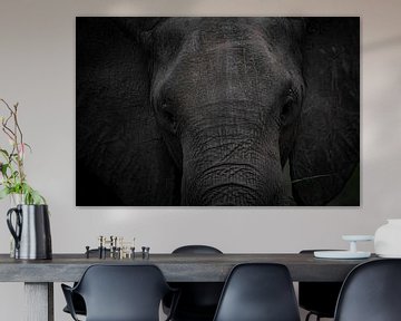 Elefant, Afrika, Wildtiere, Natur, von Theo van Woerden