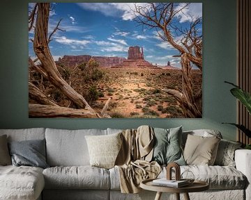 Parc national de Monument Valley sur Harold van den Hurk