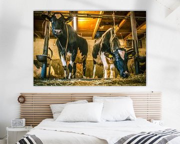 Kühe im Gruppenstall von Erica Kuiper