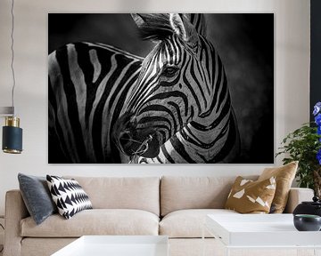 Zebra in Zuid Afrika van Theo van Woerden