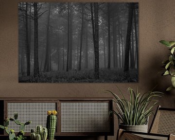 Wald an einem nebligen Morgen von Theo van Woerden