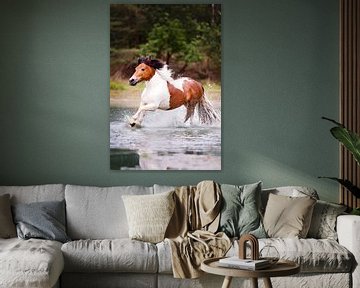 un poney galope dans l'eau sur VeraMarjoleine fotografie