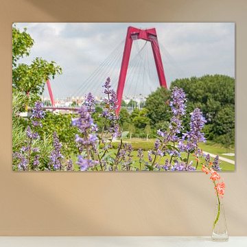 Le Willemsbrug à Rotterdam avec de la lavande et des abeilles