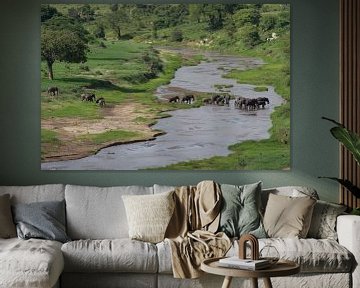 Une troupe d'éléphants traverse une rivière sur Peter van Dam