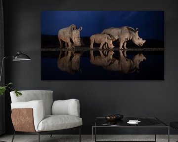 Zwei Nashornfamilien in der Abenddämmerung von Peter van Dam