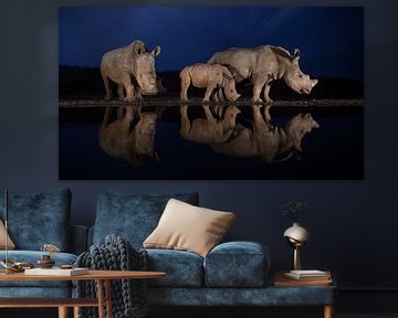Tranquil scene of two white rhino families at a pound during the blue hour reflecting in the water