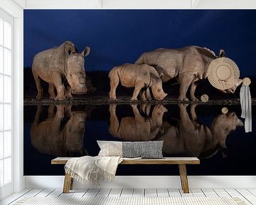 Tranquil scene of two white rhino families at a pound during the blue hour reflecting in the water by Peter van Dam