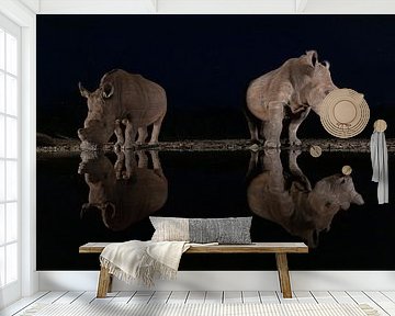 Twee witte neushoorns in het donker bij een drinkplaats van Peter van Dam