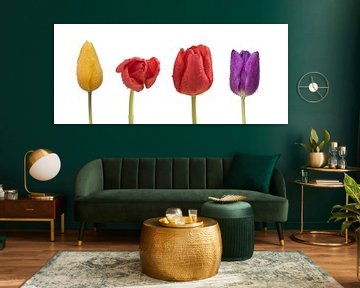 Tulpen mit Wassertropfen von Peter van Dam