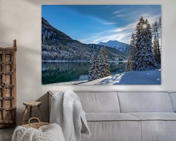 The sun shines through the snowy pines at Lake Davos, Switzerland by Peter van Dam