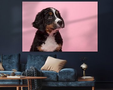 Berner Sennen puppy portret van Elles Rijsdijk