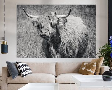 Schotse hooglander met grasspriet, Highlander cow van Michèle Huge