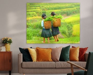 Walking on ricefields