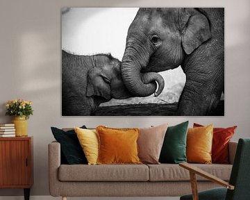 Speelse olifanten in zwart/wit van Nick van der Blom