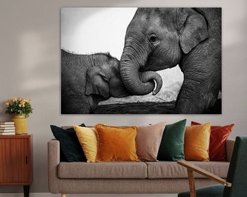 Verspielte Elefanten in Schwarz-Weiß von Nick van der Blom
