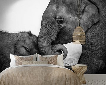 Playful elephants in black and white by Nick van der Blom
