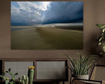 Infinite, Schiermonnikoog