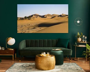High sand dunes in the Sahara (Erg Chegaga)
