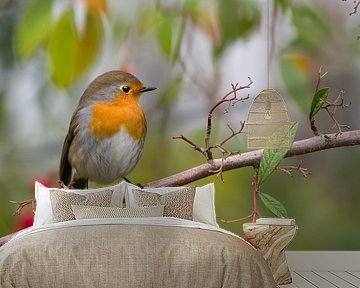 Robin by Jan Jongejan