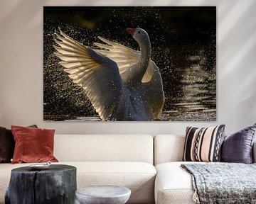 Goose spreads its wings in full backlight by Remco Van Daalen