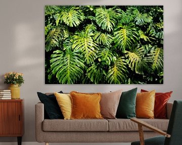 Prachtige bladerenwand van Monstera Deliciosa Blad; bladeren jungle; gatenplant van Bianca ter Riet