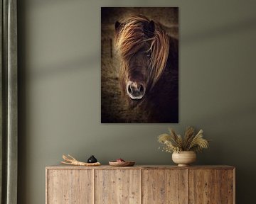 Beautyful horse