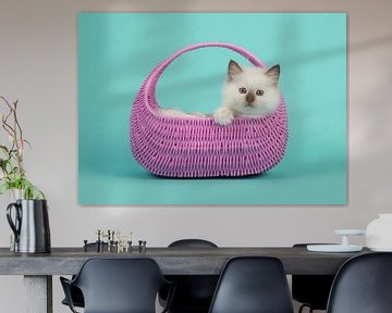 Kitten in basket by Elles Rijsdijk