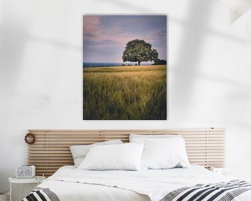 The old oak tree in the field by Steffen Peters