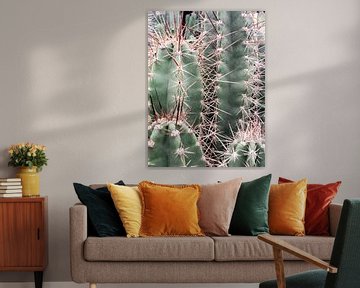 Cactus Familie van Danielle Fassbender