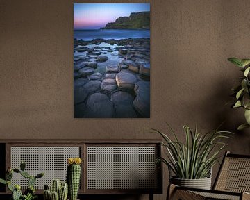 Ireland Giant's Causeway coast at the blue hour by Jean Claude Castor