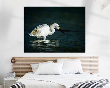 Snowy egret by Hennie Zeij