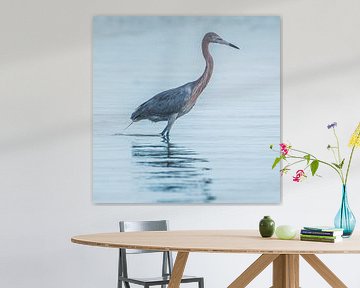 Reddish Egret by Hennie Zeij