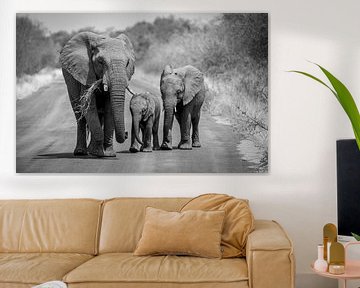Een groepje olifanten in het Kruger Park Zuid-Afrika. van Claudio Duarte