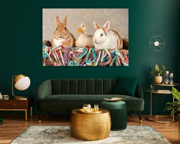 Kaninchen mit Ente hdr von Tony Wuite
