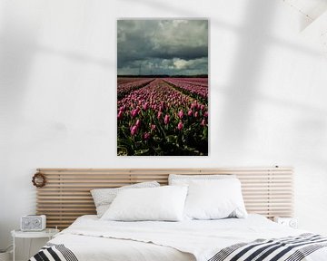 Tulpen auf dem Feld von Robert Snoek