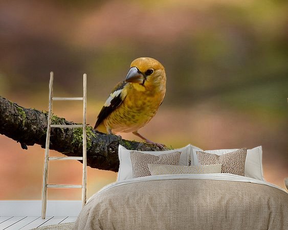Voorbeeld van het werk in een kamer