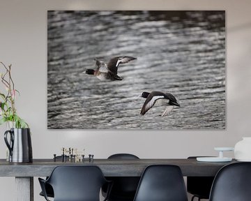 Flying ducks by EFFEKTPHOTOGRAPHY.nl