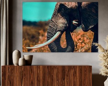 Elephant eating van Senten-Images Carlo Senten